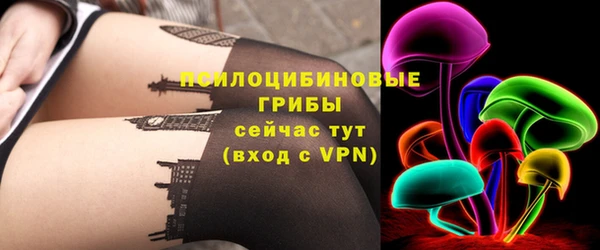 apvp Верхний Тагил